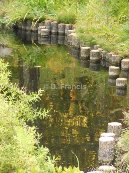 Image 8 - Holland Park