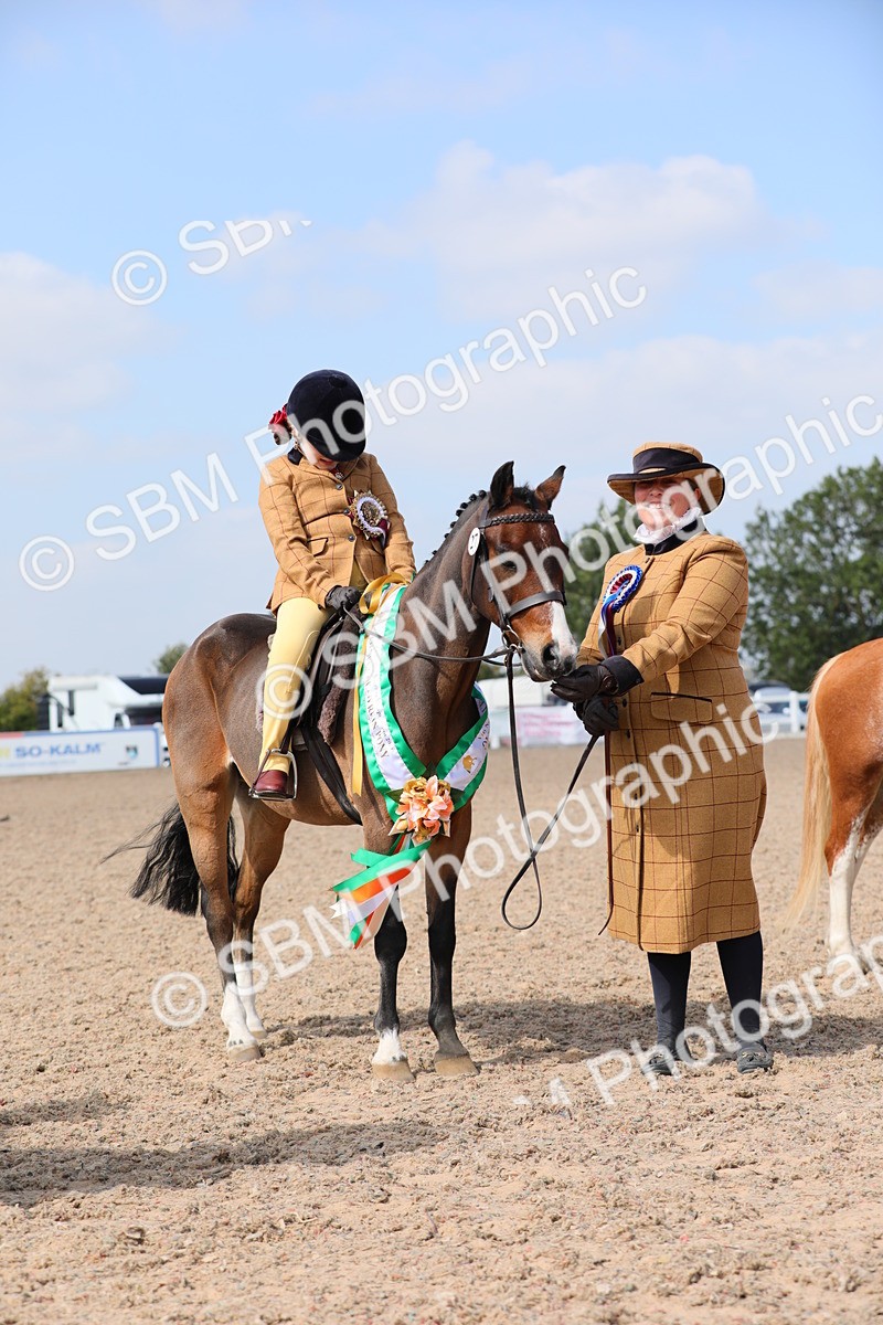 SBM_14099 - Class 309 Lead Rein Pony