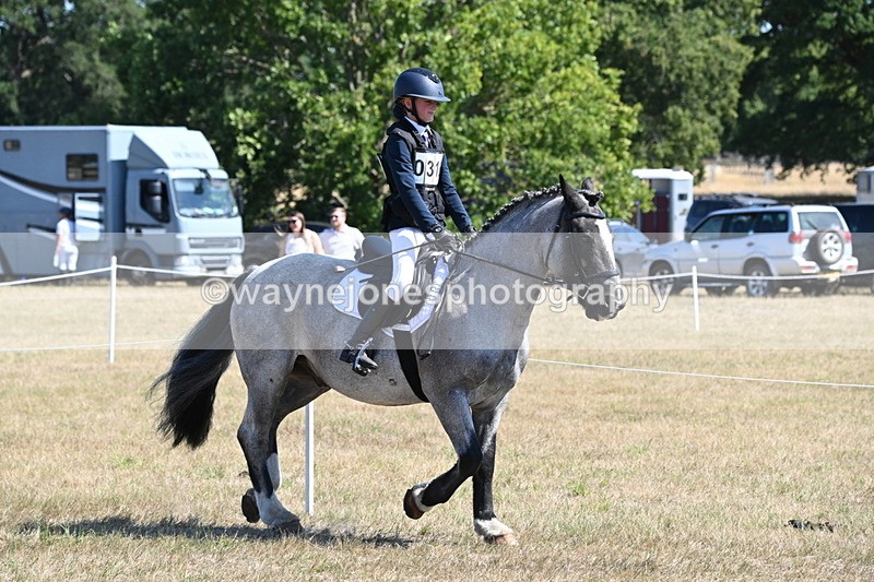 WJ6_8290 - Class 37a Best Loan Pony Ridden