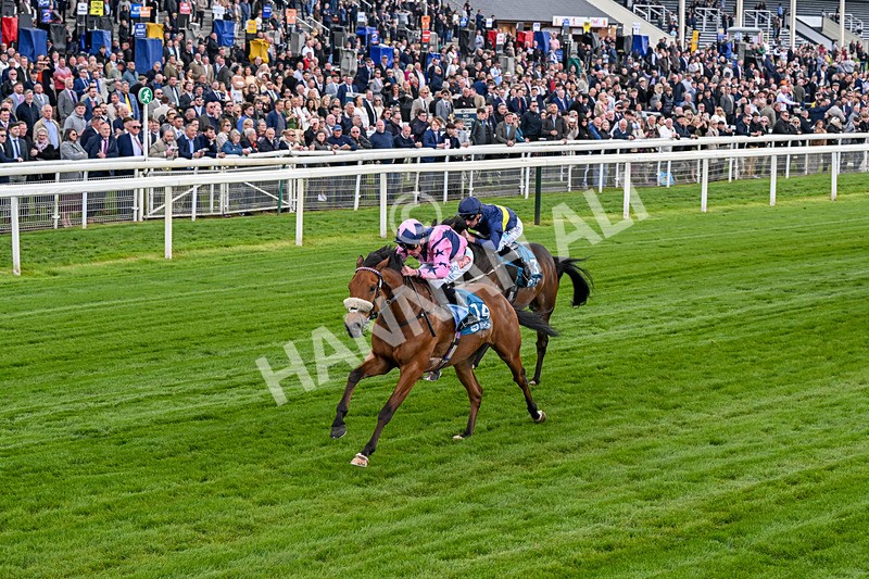 150526-Race 1-Zarathos-0056 - Race 1 1.45pm Yorkshire Equine Practice Handicap