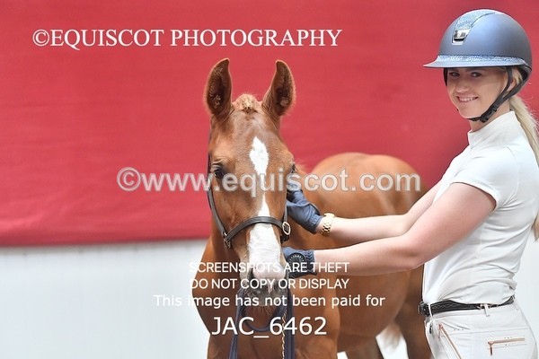 JAC_6462 - 19 Luca