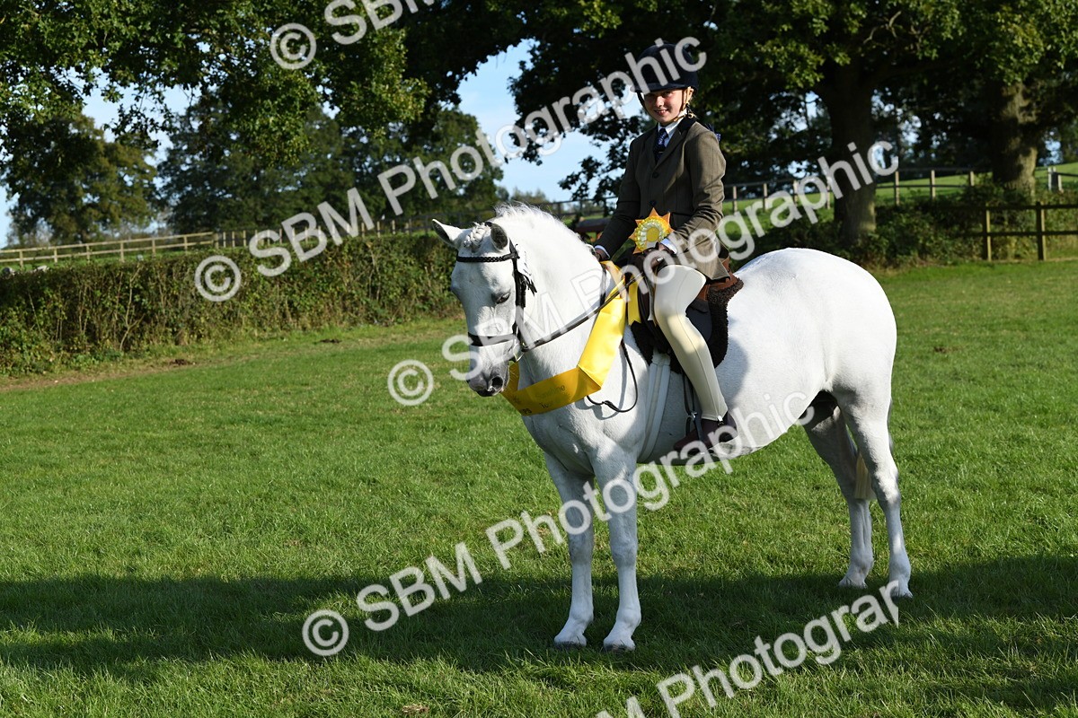 SBM_52434 - S22 - 1st Ridden Show & Show Hunter Pony