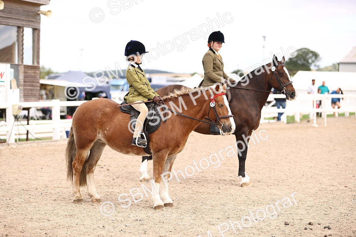 SBM_16159 - Class 420 - Horse-Pony Judge would most like to take home (IH or Ridden) Jnr