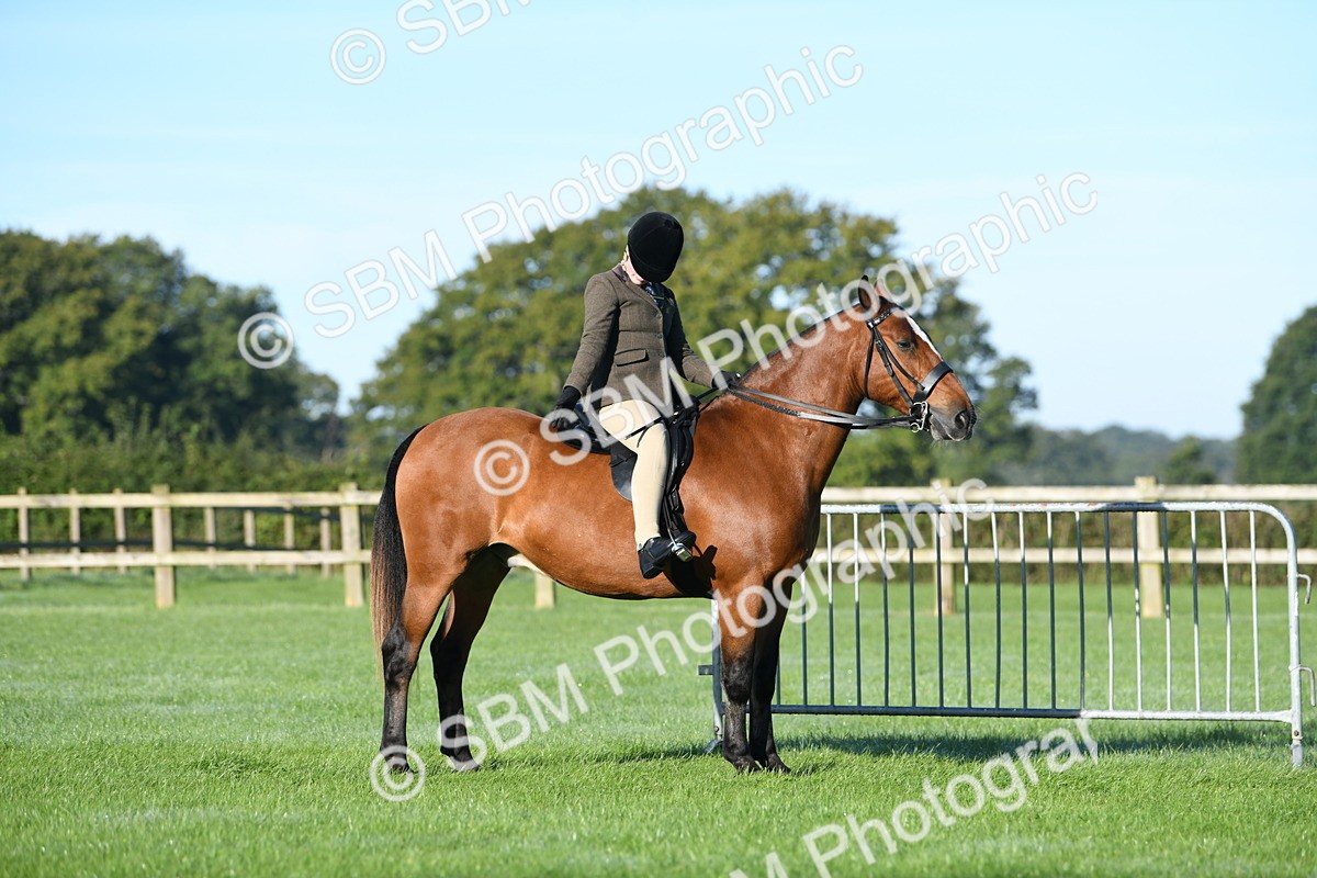 SBM_33965 - S16 - Condition & Turnout - Ridden