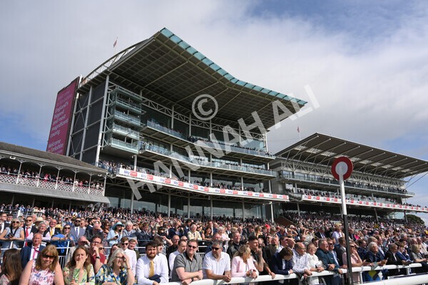 yr18082021r4-67 - Race 4 3.35pm Juddmonte International Stakes (British Champion Series race)