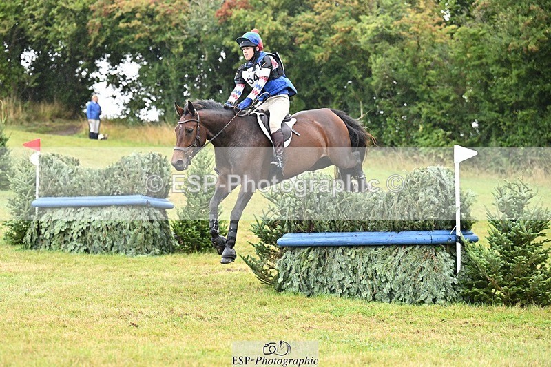 TS_b0470528 - SAT BE 90 Recovered Files fence 8