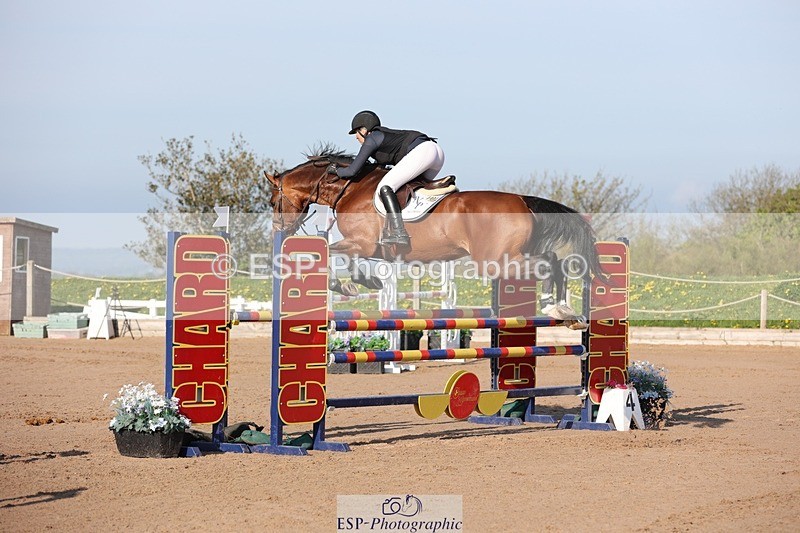 250427-084637-14642 - Cls 28 Young Horse 5yr old