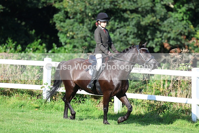 3E7A7567 - Class 1: Novice Working Hunter Pony