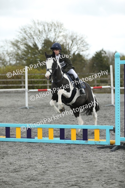 20260412-0629 - Show Jumping