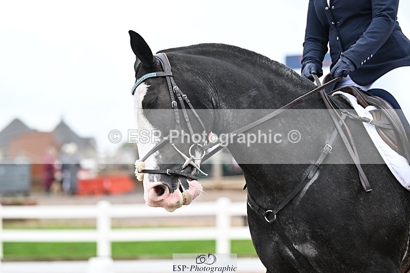 250907-123248-08357 - 061-christine.harrisonRed.Flair