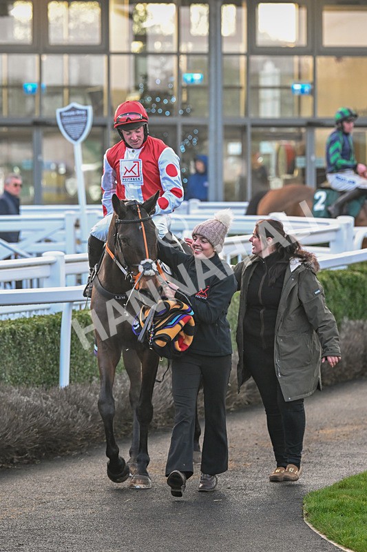 281224-Race 6-Achille Des Rocs-4989 - Race 6