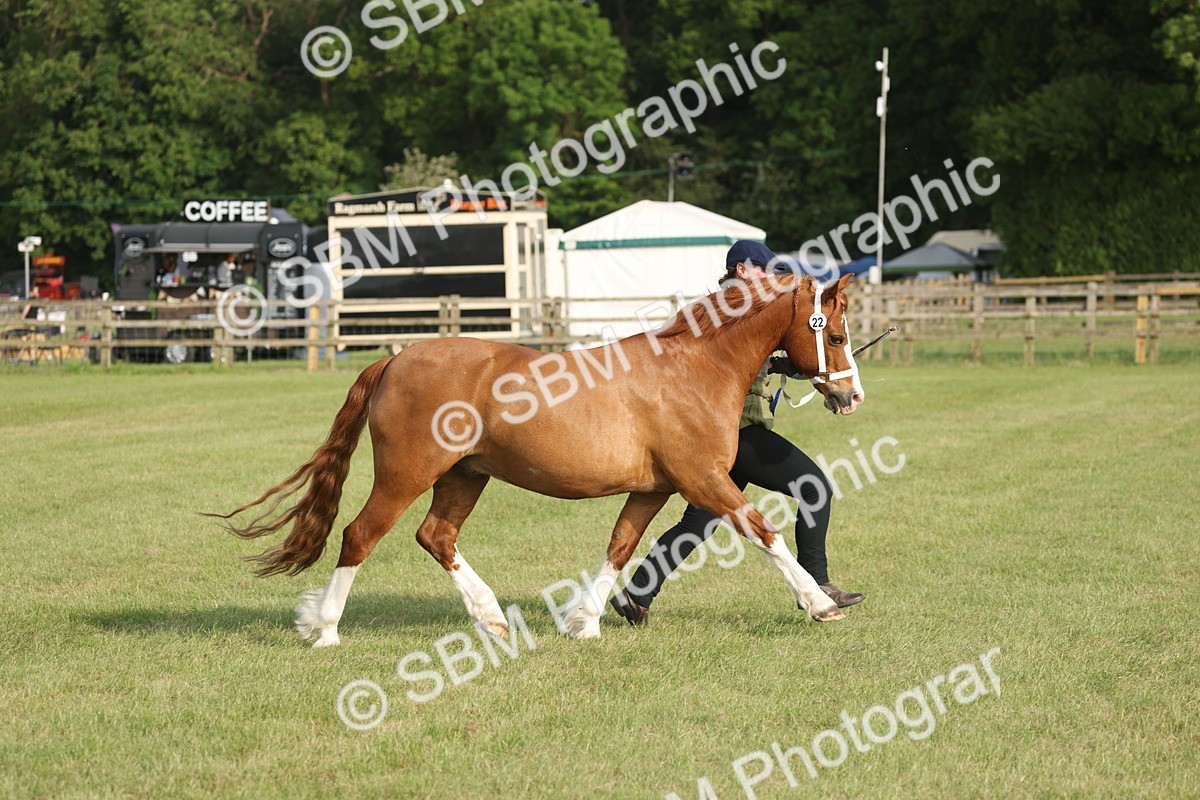 SBM_10582 - Class 33-38 - SSADL RIHS Qualifiers