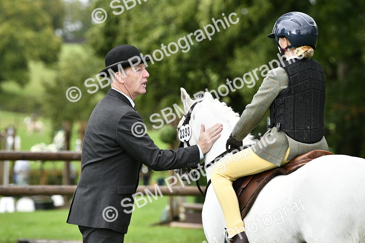 SBM_35479 - S30 - Nursery Stakes Working Hunter Pony
