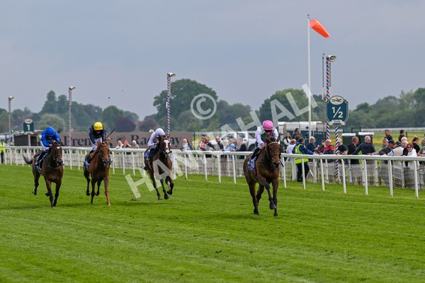 160524-Race 3-Bluestocking-5620 - Race 3 3.15pm  Al Basti Equiworld Dubai Middleton Fillies' Stakes