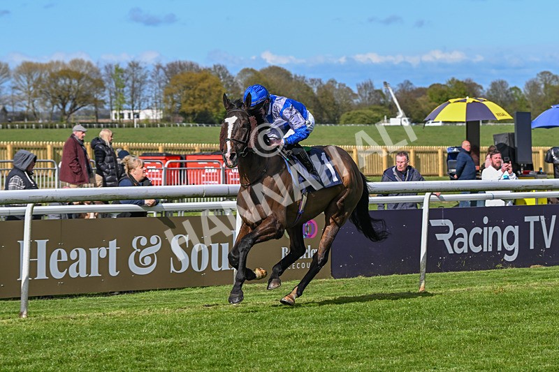 250424-Race 5-Arthurs Realm-1560 - Race 5