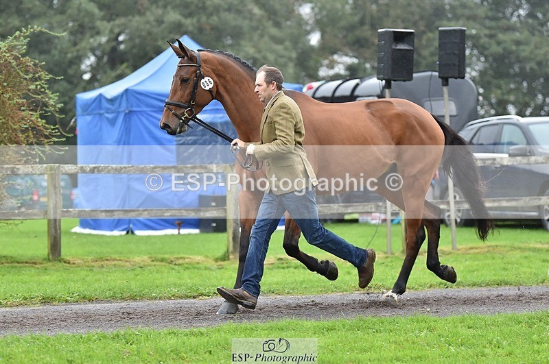 231018-122650-00295 - 036-DIAMANT.CRYSTAL.BLUE-Adam.Trew-TrotUp