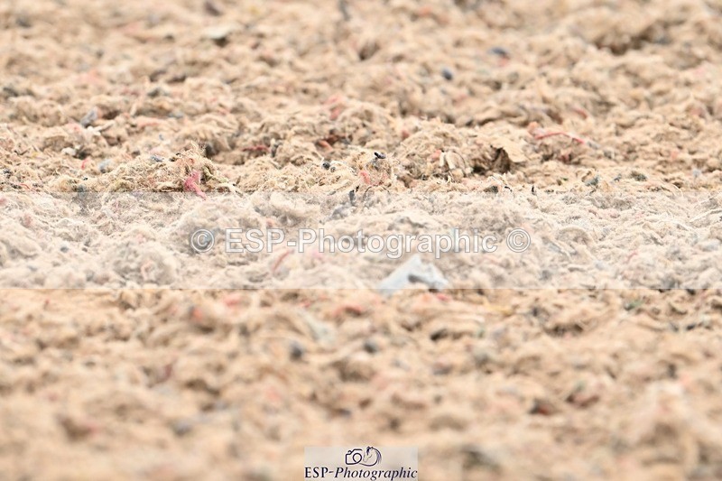 250705-102342-01239 - BRCP2 Sections BRCP2SNR, BRCP2JNR 10.14 to 10.56