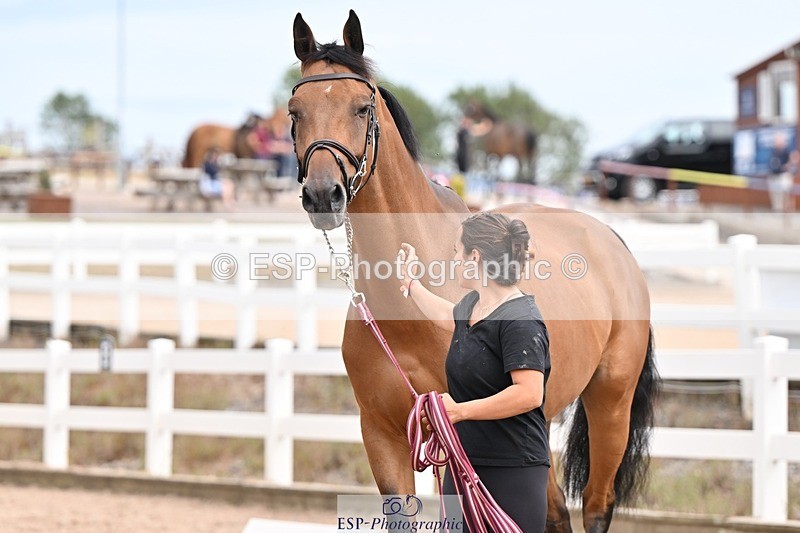 250716-153325-02008 - Trot Up 3.30 to 4.30