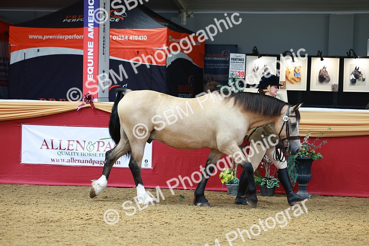 SBM_04163 - Class 9R - IH Pre-Vet