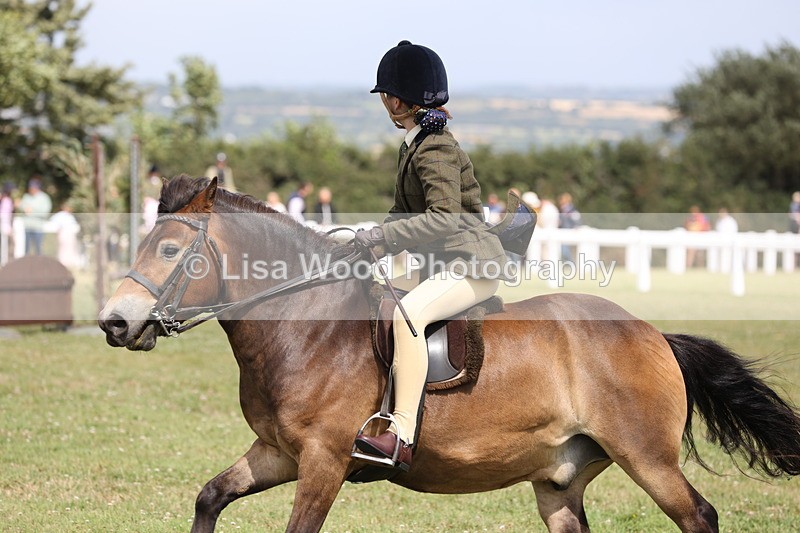 JPP_2021 - Class 19: Working Hunter 60cm