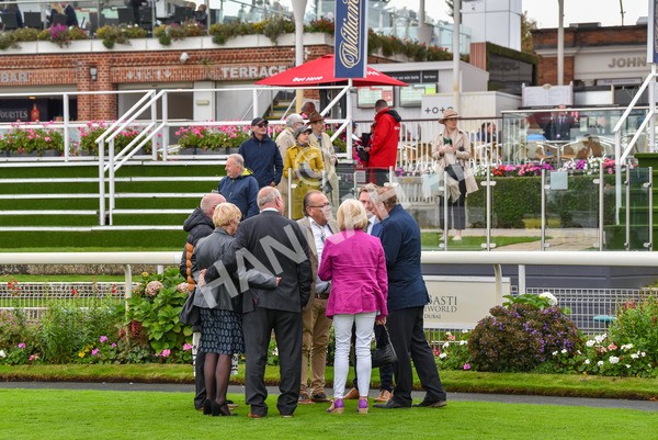 131023-Race 3-Apiarist-9438 - Race 3 3.15pm British EBF £100,000 Final