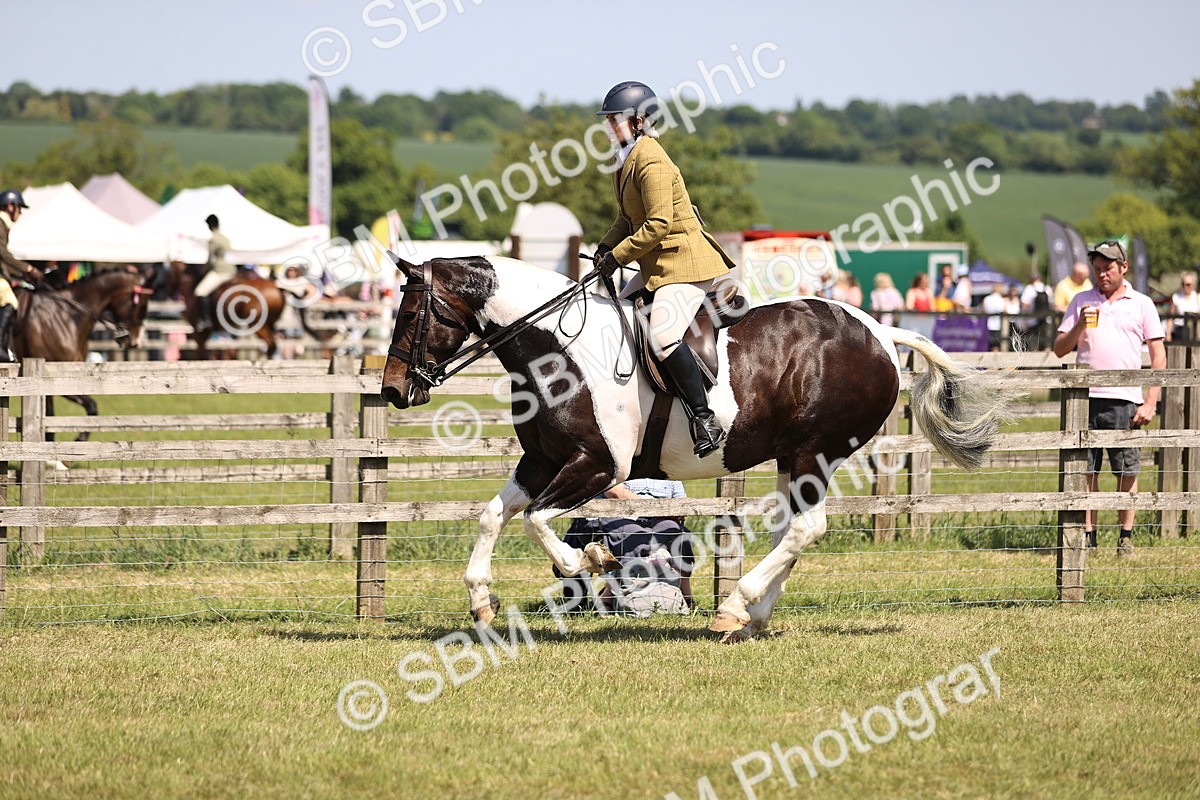 SBM_17868 - Class 81-83 - TSR Ridden Amateur of the Year - Horses