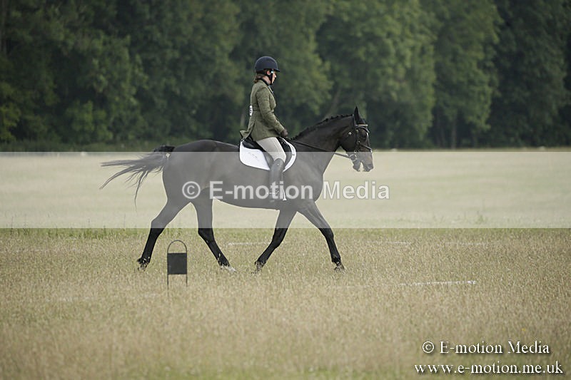 B230619-0152 - Bourne Valley Riding Club Summer Show 23/06/19