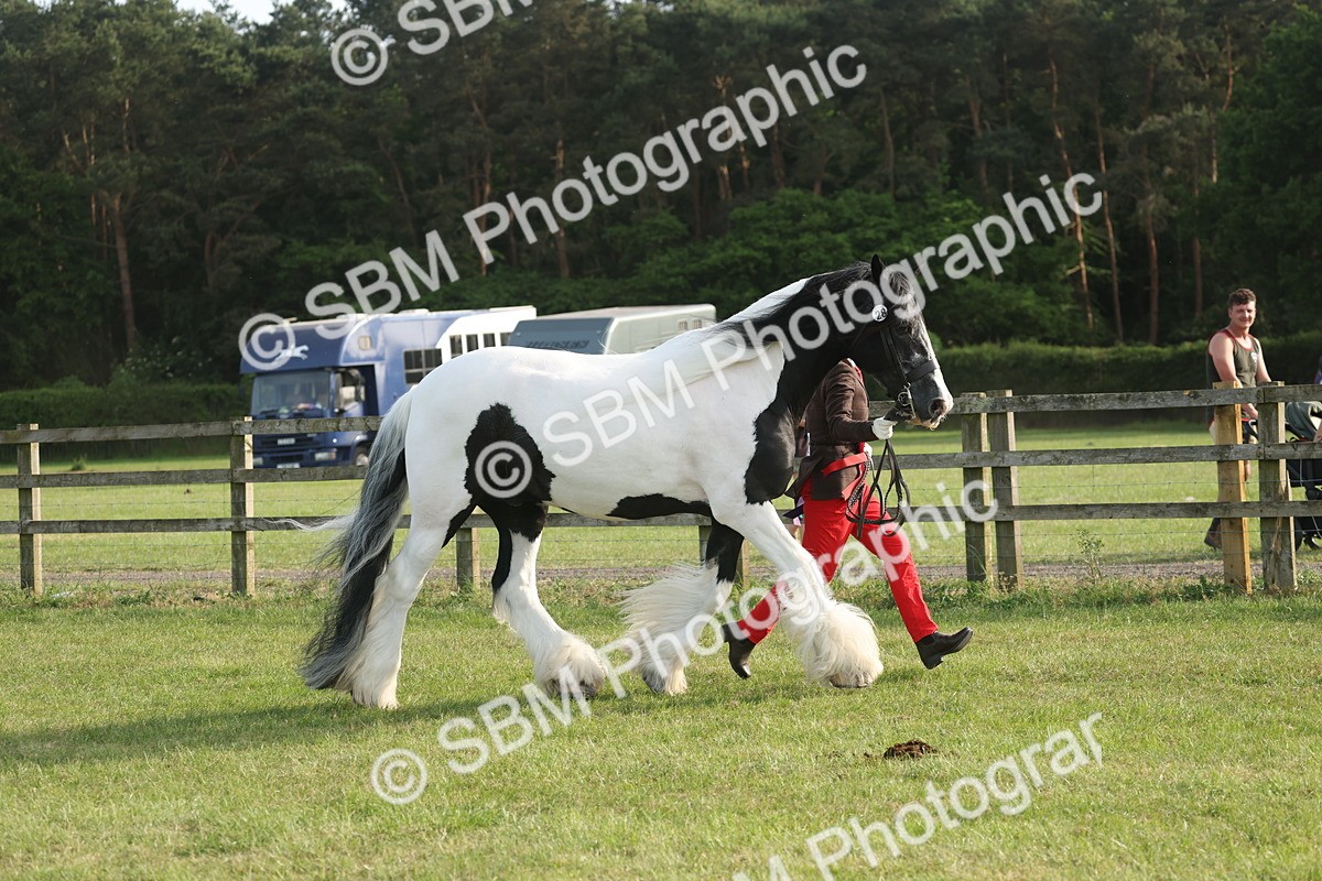 SBM_10620 - Class 33-38 - SSADL RIHS Qualifiers