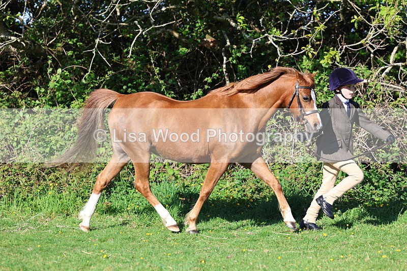 3E7A8350 - Class 12: M & M Small Breeds