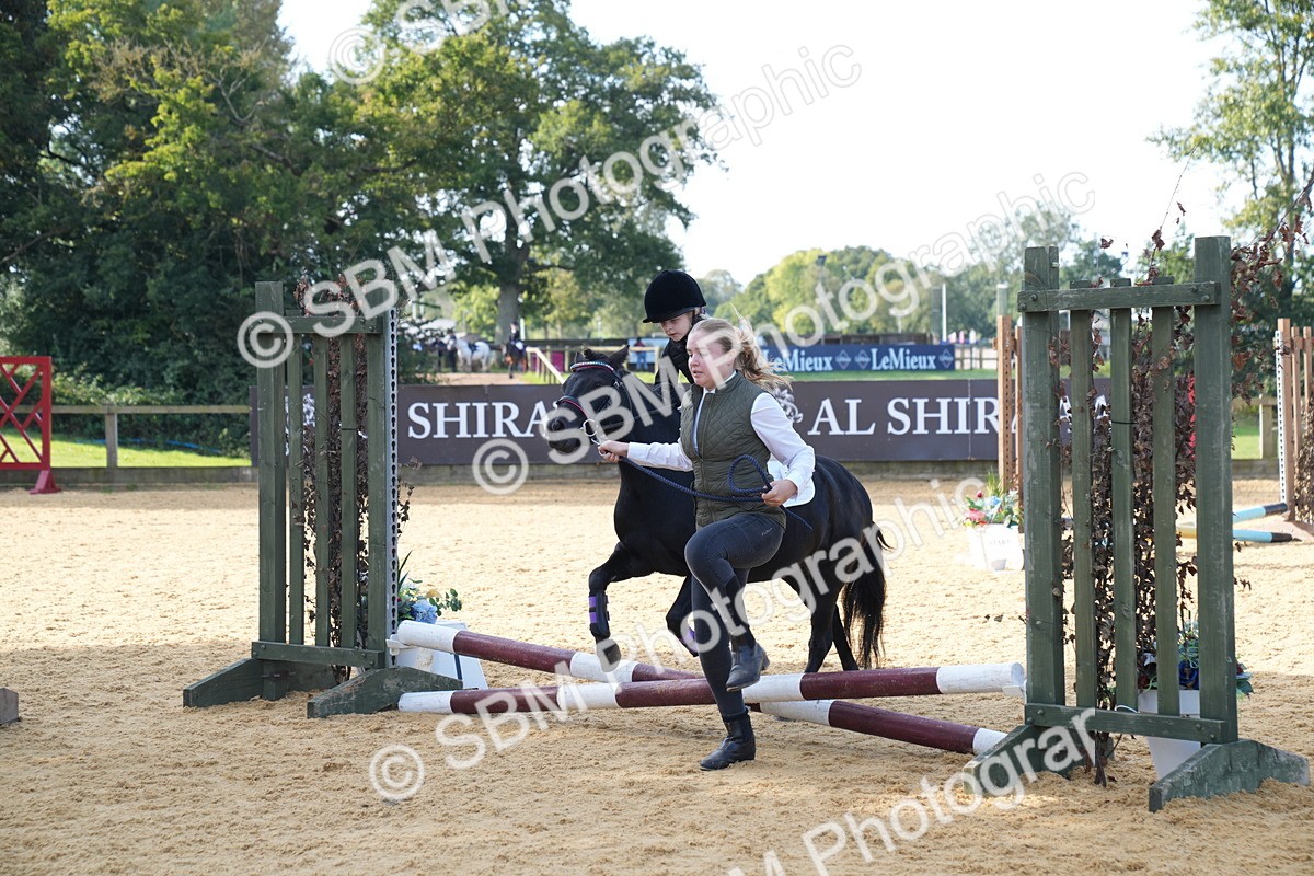 SBM_61380 - J1 - Mini Tour Junior Pony Lead Rein 30cm Championship