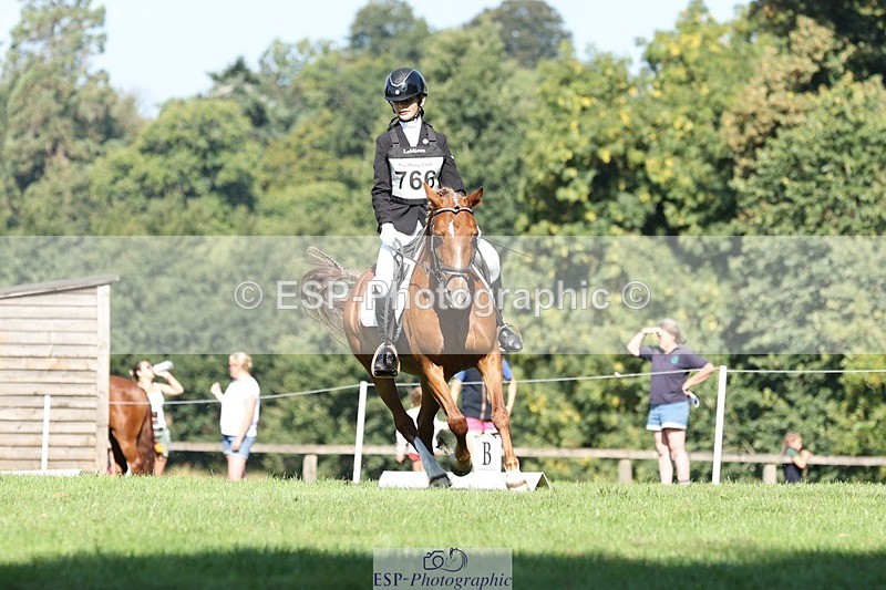 250823A-102456-26853 - Arena D