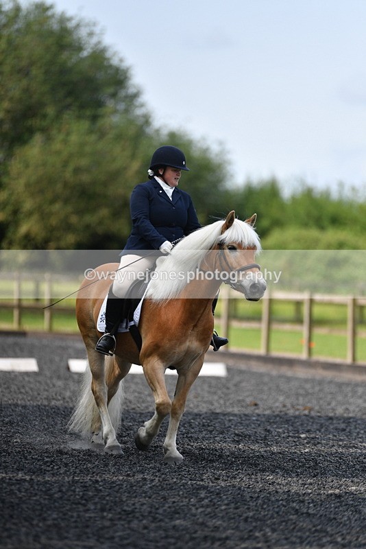 WJ5_9205 - Time 10:10 to 10:47