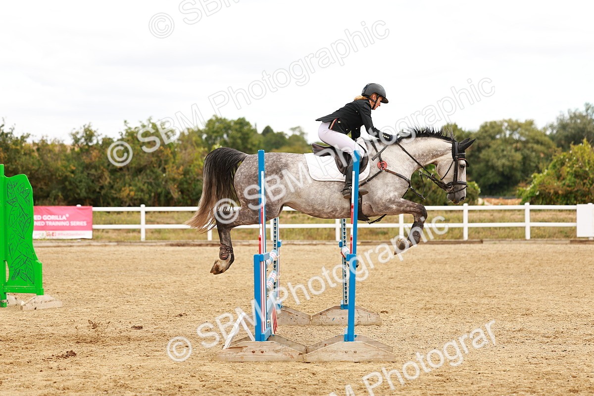 SBM_005559 - Class 2 - Senior British Novice - 90cm