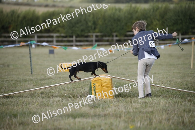 20250831-3852 - Dog Show