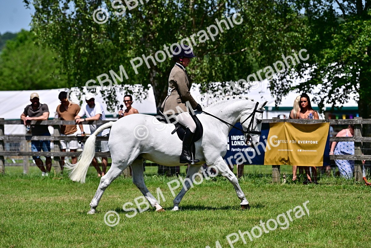 SBM_17471 - Class 95-97 - BSPS LHS Performance Ponies