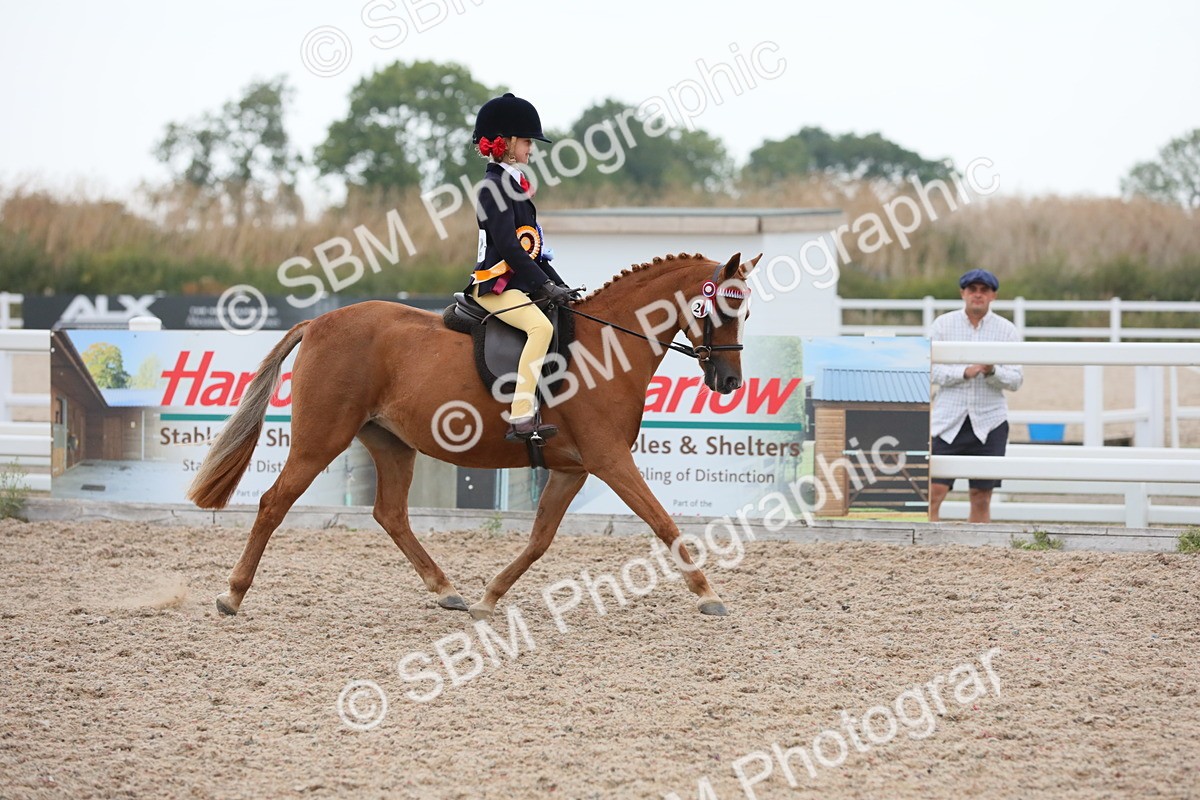 SBM_18269 - Class 316 Best Pony/Rider Combination