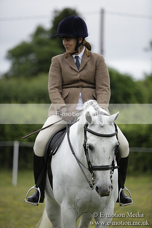 BVR160717-1047 - Ring 1 BVRC Show 16/07/17