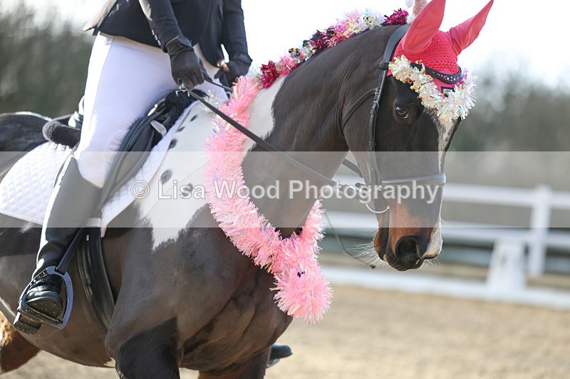 3E7A4514 - Class 4: Prelim Section B