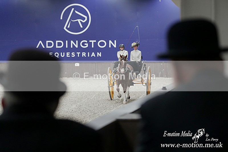 LLEZ0343a - Equestrian