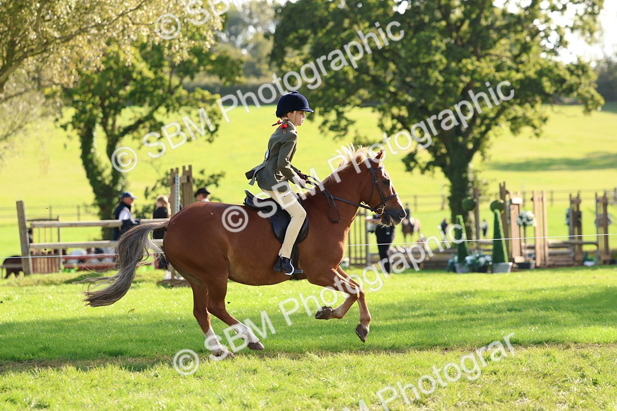 SBM_52390 - S13 - Pony Club Pony