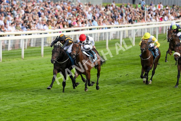 280723-Race 3-Loose Cannon-2825 - Race 3 6.05pm Ire-Incentive, It Pays To Buy Irish EBF Restricted Novice Stakes