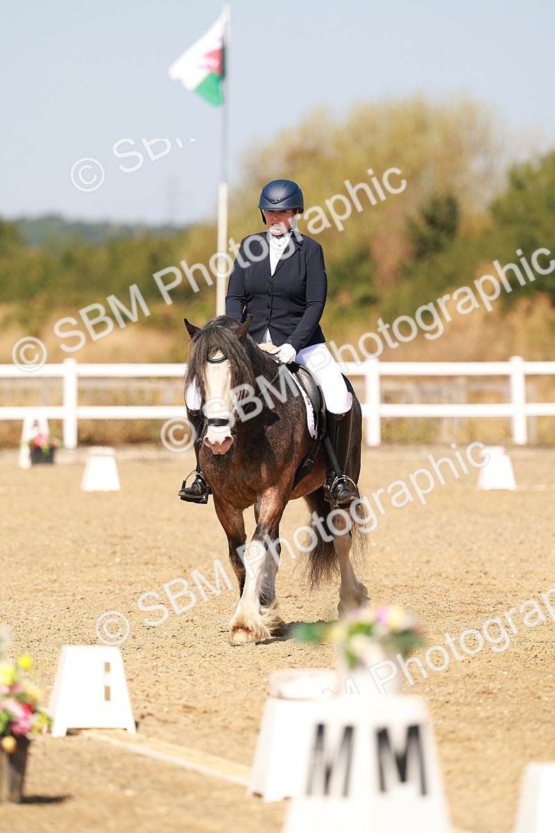 SBM_017804 - Class 9 - N5 Bronze 10.33.11.36