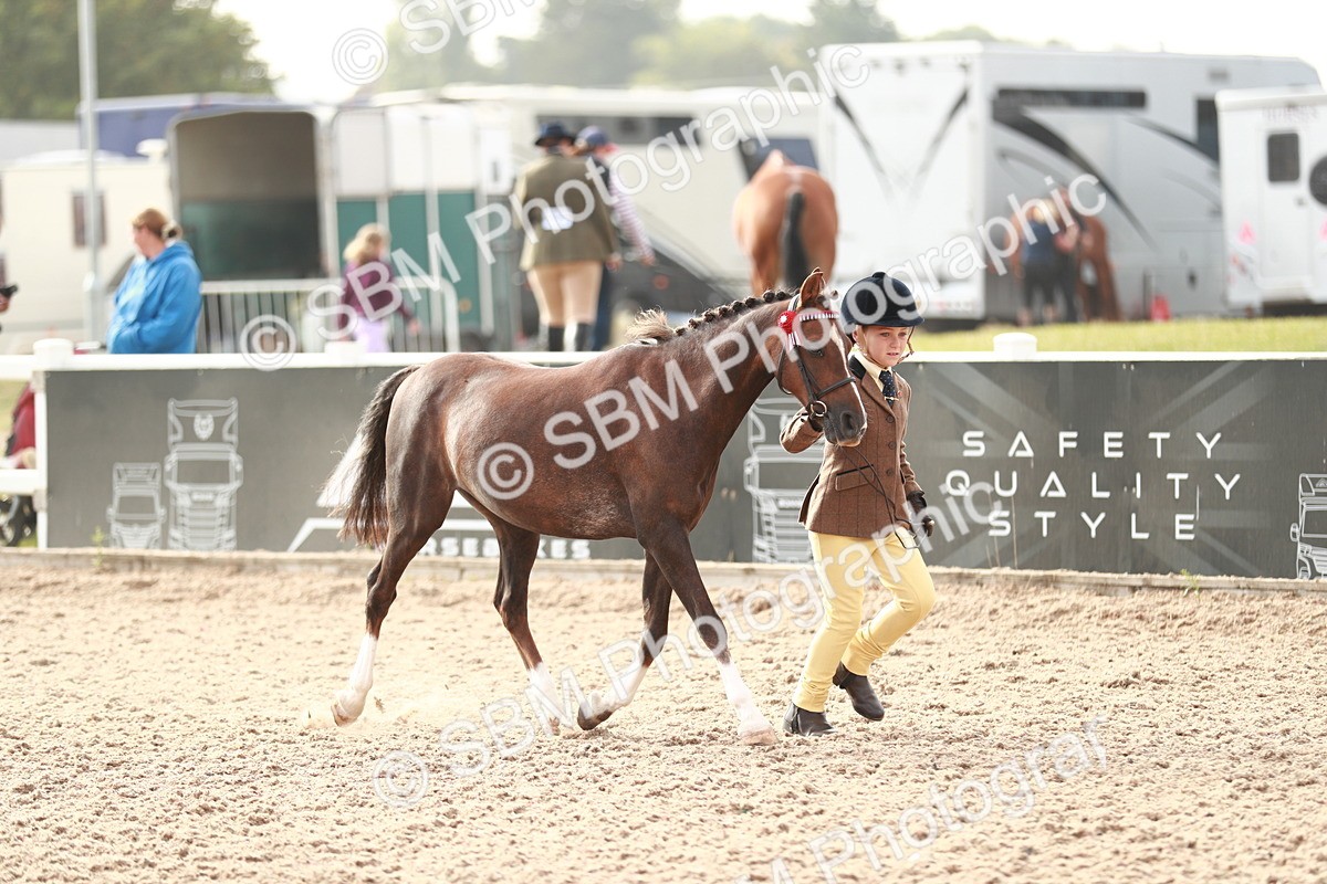 SBM_09854 - Class 203 Young Handler, 10 years and under