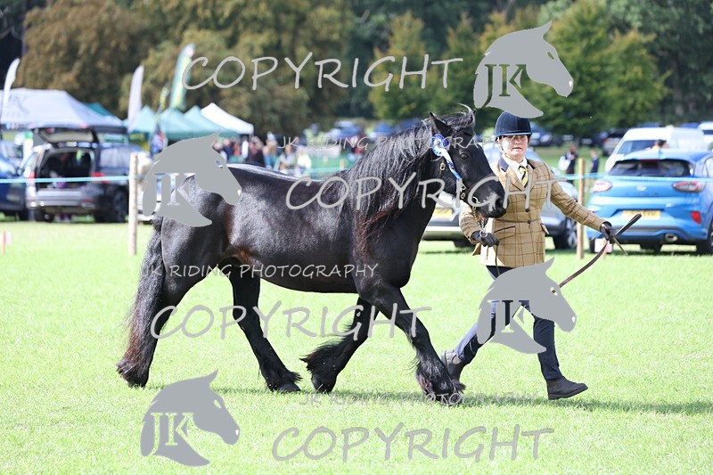 APP_3017 - Class 10a/b M&M in hand