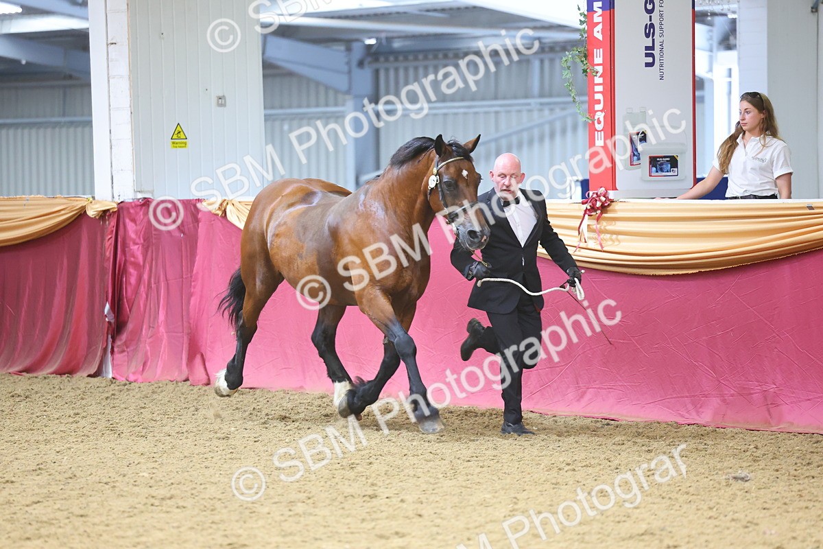 SBM_24975 - Grand Supreme Final Overall Champion