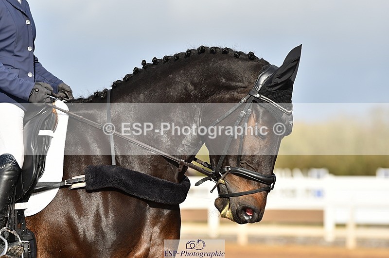 231104A-111926-01519 - Cls 5 Novice 37A