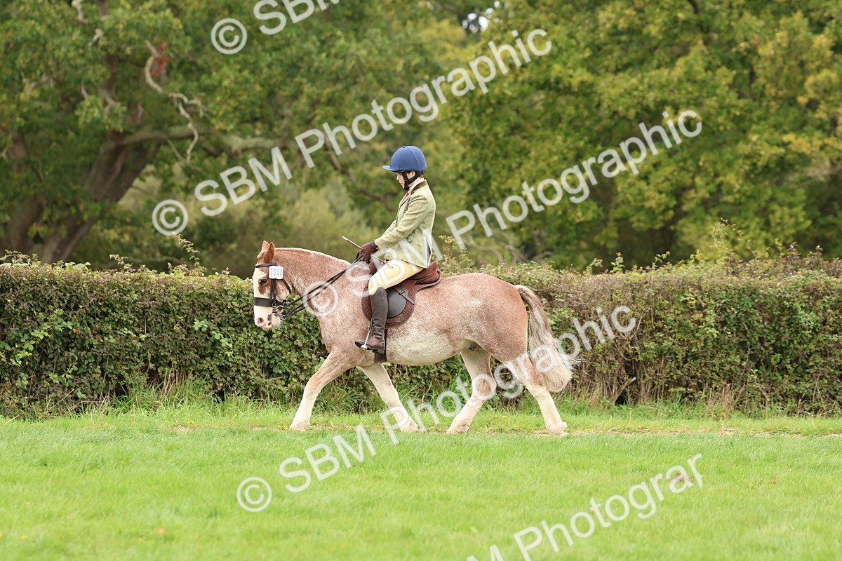 SBM_64500 - S58 - Coloured Pony Ridden