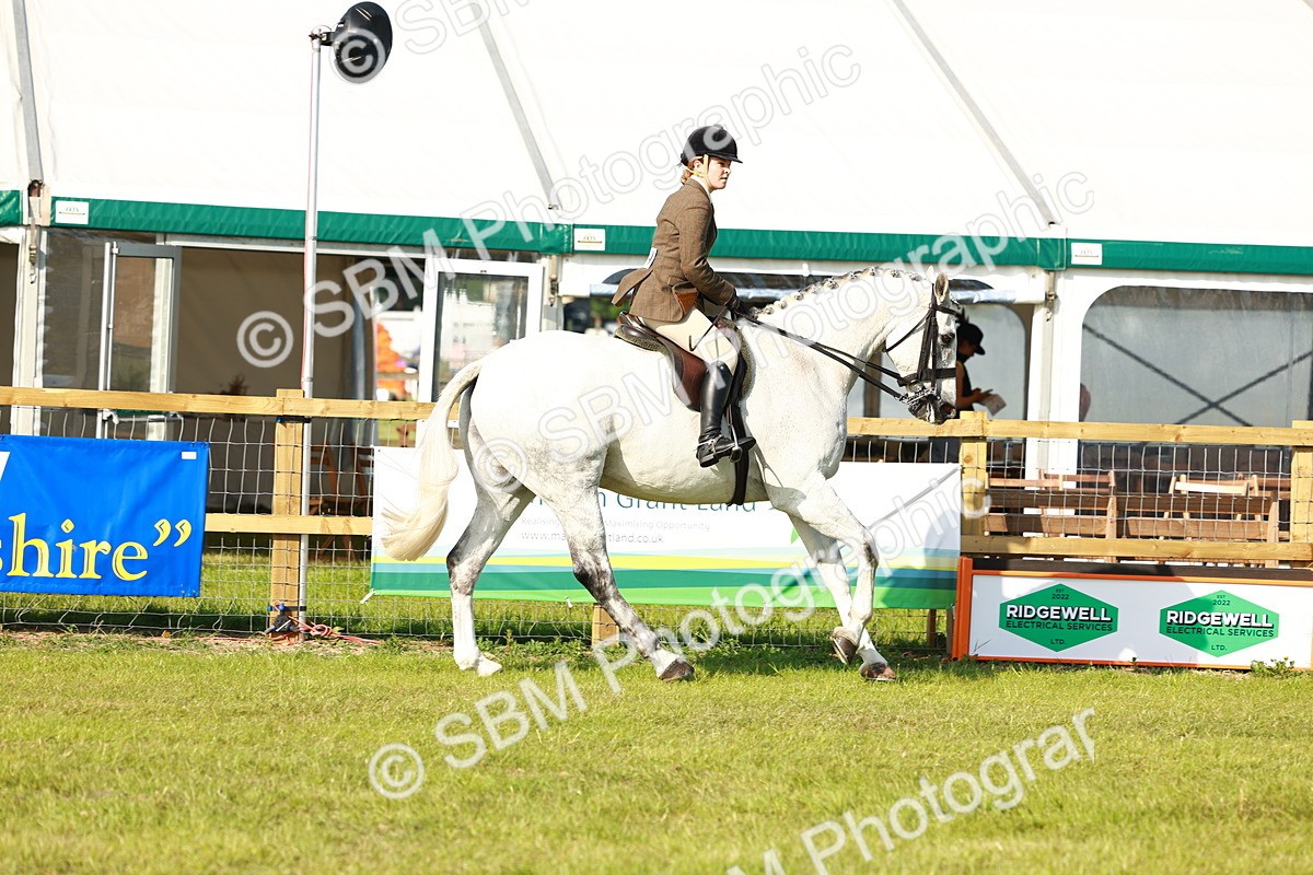 SBM_10901 - Class 66-69 - RIHS Ridden Hunters Inc Small Hunter