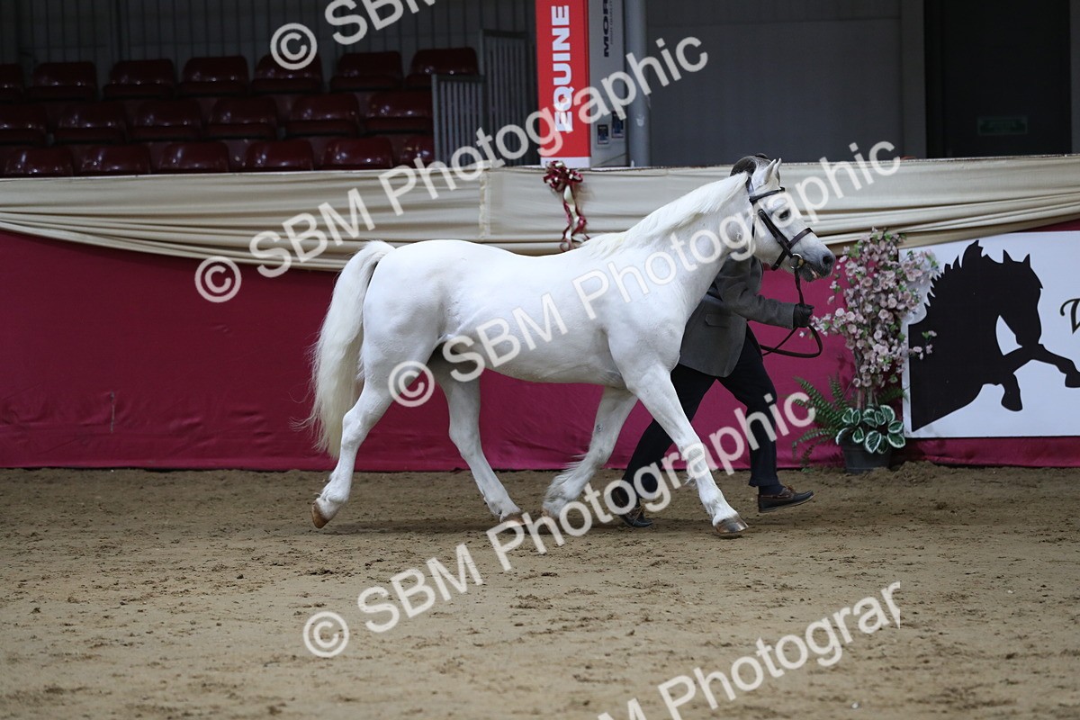 SBM_04946 - Class 8R- Regional -IH Veteran