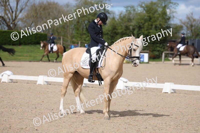 20260405-0219 - Class 3 - Novice 5